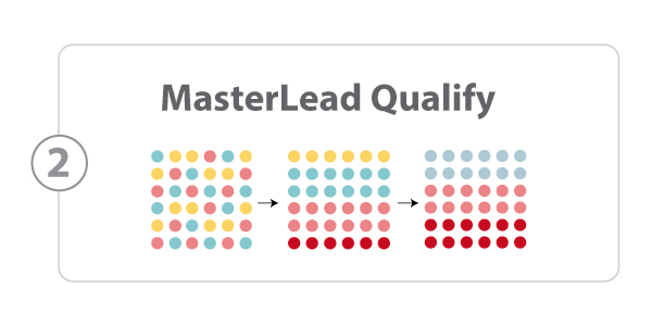MasterLead Qualify Soluciones Big Data. MIBIZPARTNERS